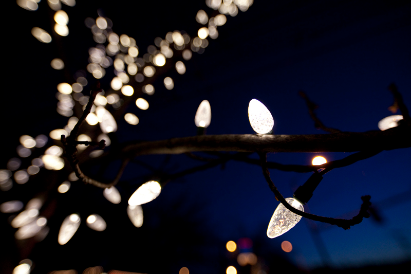 Illustration for article titled Photo Contest: Christmas Lights